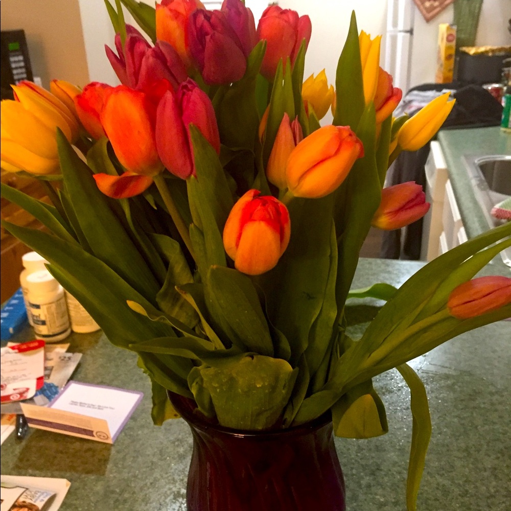 Gardening Love in small town!